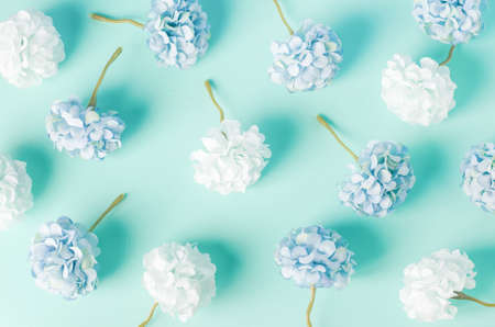 Blue and white Hydrangea flowers pattern on blue backgroundの写真素材