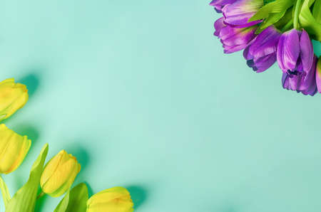 Artificial yellow and purple tulip flowers bouquet on light green blue backgroundの写真素材