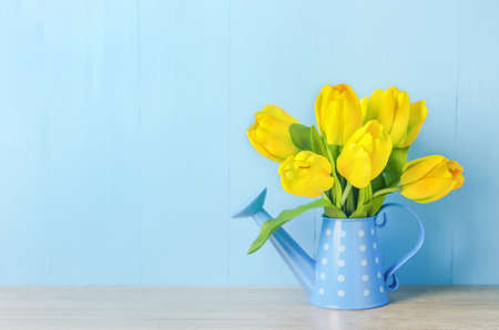 Artificial yellow tulip flowers at blue watering can with white polka dot pattern on blue wooden backgroundの写真素材