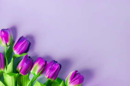 Artificial purple tulip flowers bouquet on light purple backgroundの写真素材