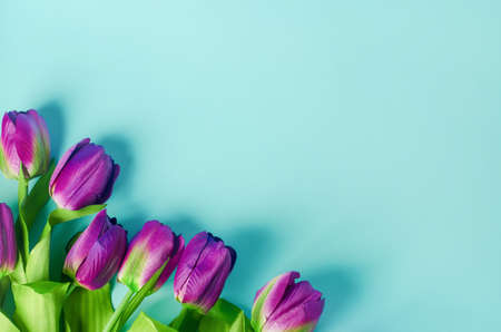 Artificial purple tulip flowers bouquet on light blue backgroundの写真素材