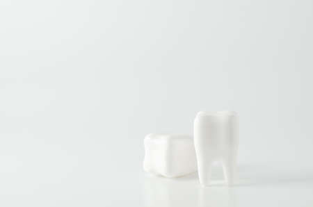 Close up of white teeth dental model on white backgroundの写真素材