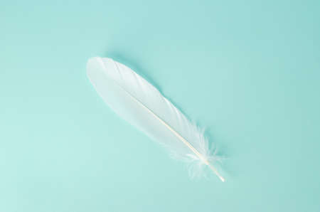 Close up of white feather on vintage blue backgroundの写真素材