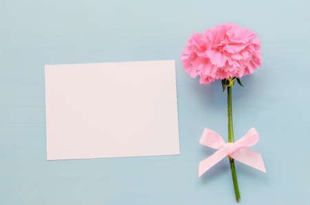 Blank white greeting card with pink Carnation flower and ribbon bow on blue wooden backgroundの写真素材