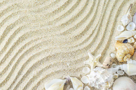 Beach and Summer background - Close up of starfish and seashells on white sand backgroundの写真素材