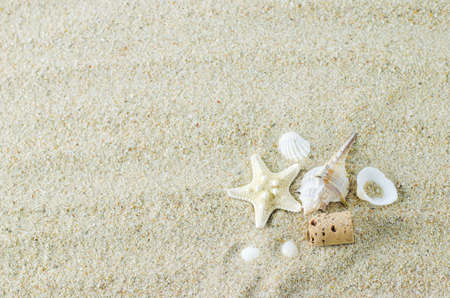 Beach and Summer background - Close up of starfish and seashells on white sand backgroundの写真素材