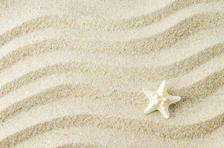 White starfish on sand texture background with wave patternの写真素材