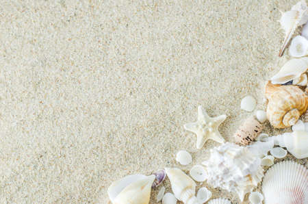 Beach and Summer background - Close up of starfish and seashells on white sand background with white coarse sandの写真素材