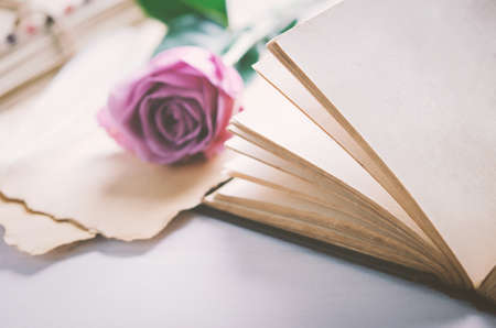 Close up of opened old book with violet purple rose flower and love letters, Rose and old paper with vintage and vignette toneの写真素材