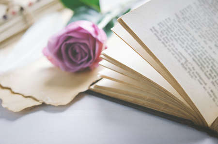 Close up of opened old book with violet purple rose flower and love letters, Rose and old paper with vintage and vignette toneの写真素材