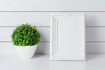 Blank vintage photo frame with green home plant at white vase on white wooden background の写真素材