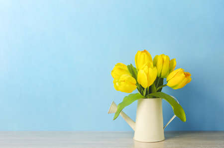 Artificial yellow tulip flowers at watering can on blue woodenの写真素材