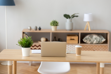 Neat cozy workplace with laptop, coffee and green plant on it for education in light apartment, working freelancer or designer desk with computer and papers in home or house office interiorの写真素材