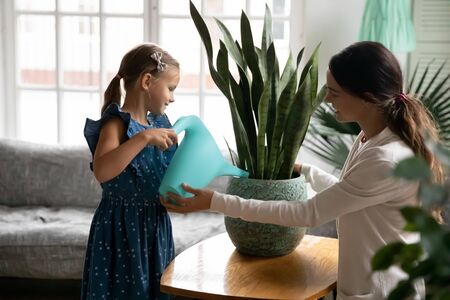 Happy young Caucasian mother and little preschooler daughter take care water big green house plant in pot, smiling mom or nanny and small girl child fertilize ground, horticulture, gardening conceptの写真素材