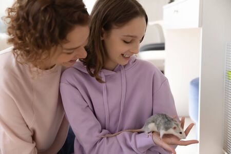 Happy mother and teenage daughter enjoy playing with cute domesticated mouse at home together, loving smiling mom and teen girl child have fun take care of small domestic rat animal or petの写真素材