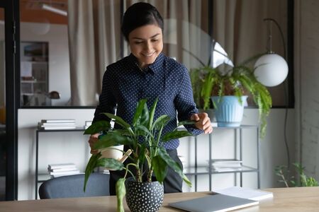 Indian business lady holds can watering potted plant indoor flower creating coziness and comfort in personal area cabinet for productive working day. Lush plant growth as symbol of successful personの写真素材