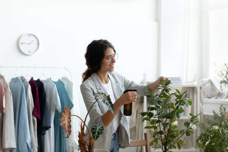 Happy young creative designer in glasses refreshing green leaves of domesticated plants with spray water in modern workplace showroom, beautiful woman taking care of flowers, hobby gardening concept.の写真素材