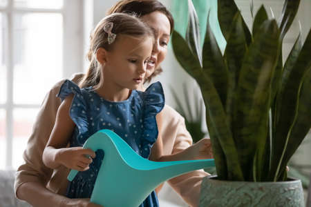 Attentive little adorable child girl learning taking care of domestic green plants from smiling middle aged 60s grandmother, fertilizing ground from watering pot in living room, gardening concept.の写真素材