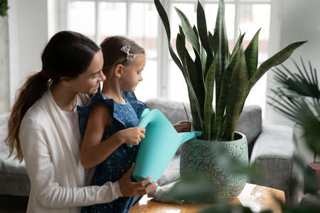 Side view affectionate loving young mixed race woman helping little kid girl watering domestic plants from pot, teaching taking care of herbs, fertilizing ground together at home, gardening concept.の写真素材
