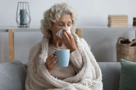 Sick mature woman wrapped blanket blowing running nose, feeling unhealthy and ill, upset middle aged female holding paper napkin, handkerchief, holding tea or coffee mug, sitting on couch at homeの写真素材