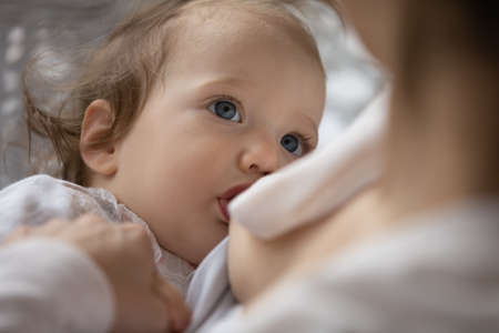 Crop close up of mother breastfeed cute little newborn baby child at home. Loving mom feed small Caucasian infant daughter kid with breast milk. Nutrition, motherhood, childcare concept.の写真素材