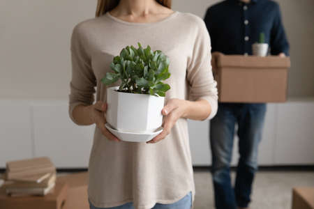 Cropped young woman holding potted plant interior decoration with man carrying carton box on...
