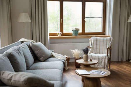 Cozy modern living room interior with soft comfortable couch, warm plaid on trendy armchair, coffee...