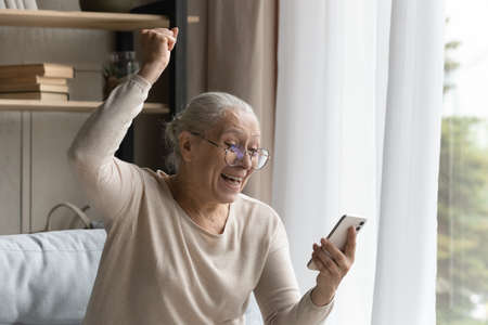 Moment of on-line auction, lottery victory, achievement, success concept. Happy older woman in...