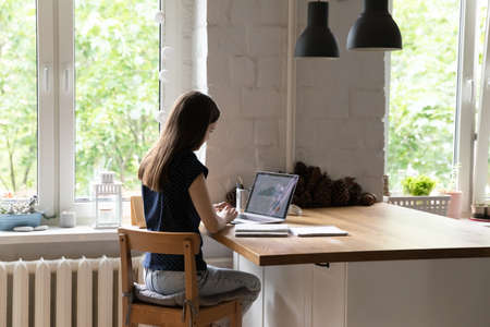 Rear side view woman looks at laptop screen work with financial graphs and charts, analyze...