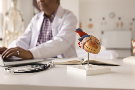 Cardiologist works on laptop, closeup heart model on desk. Medical worker accessing patient card to review diagnostic echocardiograms tests, prescribe medications, provide cardiovascular care remotelyの写真素材