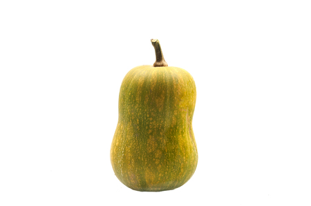 Pumpkin with white backgroundの写真素材