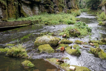 Great nature in the Czech - Saxon Switzerland full of forests and rivers suitable as a cover or backgroundの写真素材