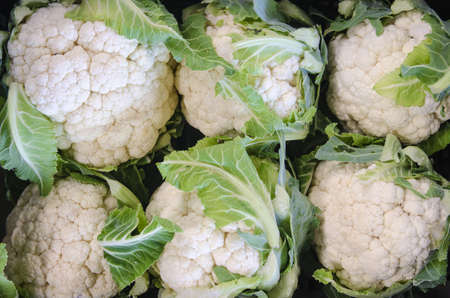 Group of cauliflowers seen from above