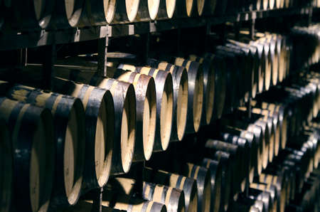 Wine barrels stacked in cellar