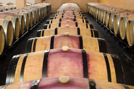 barrels for red wine in cellarの写真素材