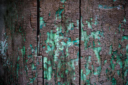 Texture of old woodの写真素材