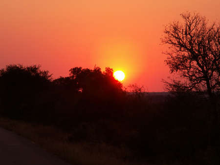 African Sunsetの写真素材