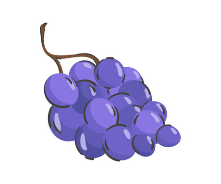 Hand drawn grape isolated on a white background. vector illustration. Colorful and minimalistic fruit. For sticker and design.のイラスト素材
