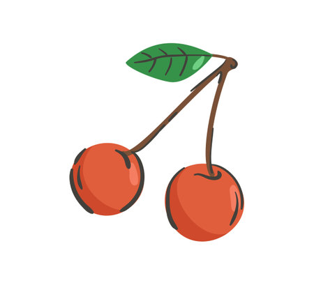 Hand drawn cherry isolated on a white background. Vector illustration. Colorful and minimalistic fruitのイラスト素材