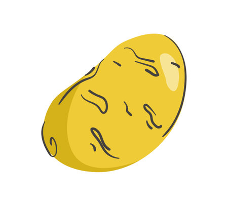 Hand drawn potato isolated on a white background. Vector illustration. Colorful and minimalisticのイラスト素材