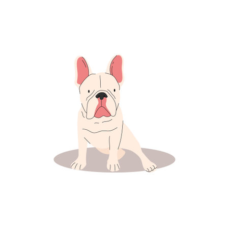 Funny and cute French bulldog. Dogs collection. Vector illustration of cute breeds dogs in trendy flat style. Isolated on a white backgroundのイラスト素材