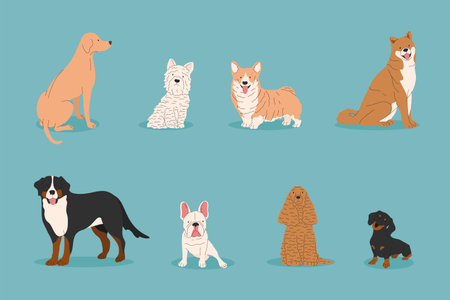 Dogs collection. Vector illustration of funny different breeds dogs in trendy flat style. Cute small and big pets.のイラスト素材