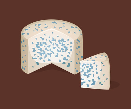 Cross section of soft cheese. Vector illustration. Blue cheese in a realistic style. Ideal for posters and banner, menu of cafe and shopsのイラスト素材
