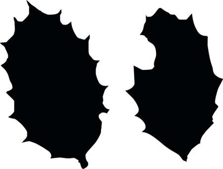 holly leavesのイラスト素材