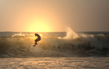 sunset surfer in the seaの写真素材