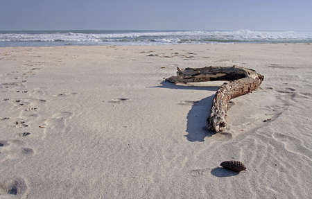 question mark (beach)の写真素材