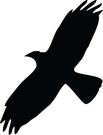 eagle silhouetteのイラスト素材