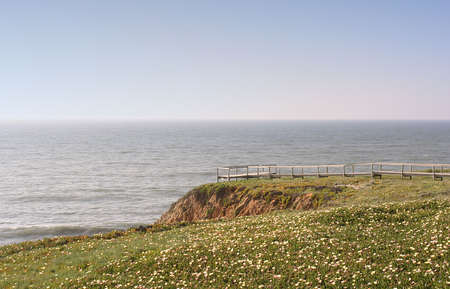 photo of a coastline with flowersの写真素材