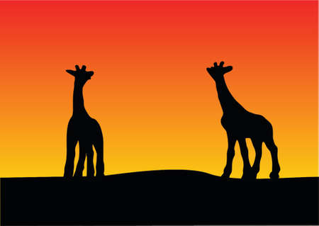 illustration of a giraffe with sunset backgroundのイラスト素材