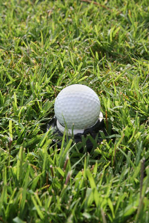 golf ball in the grassの写真素材
